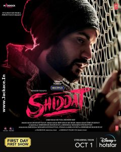 Shiddat 2021 Bollywood Hindi Full HD Free VegaMovies